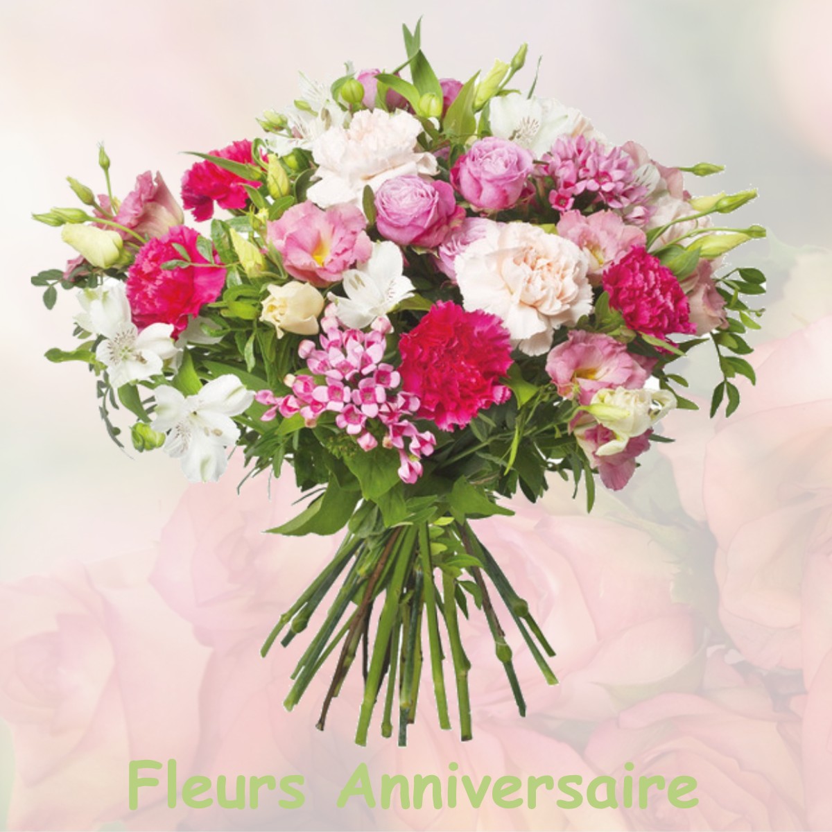 fleurs anniversaire DIGNE-LES-BAINS